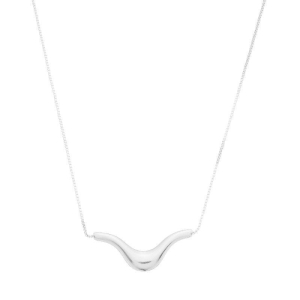 Colar Orgânico Curva Prata