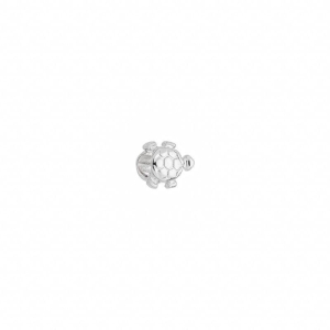 Separador Tartaruga Prata