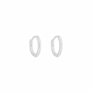 Brinco Argola Lisa Minimalista M Prata