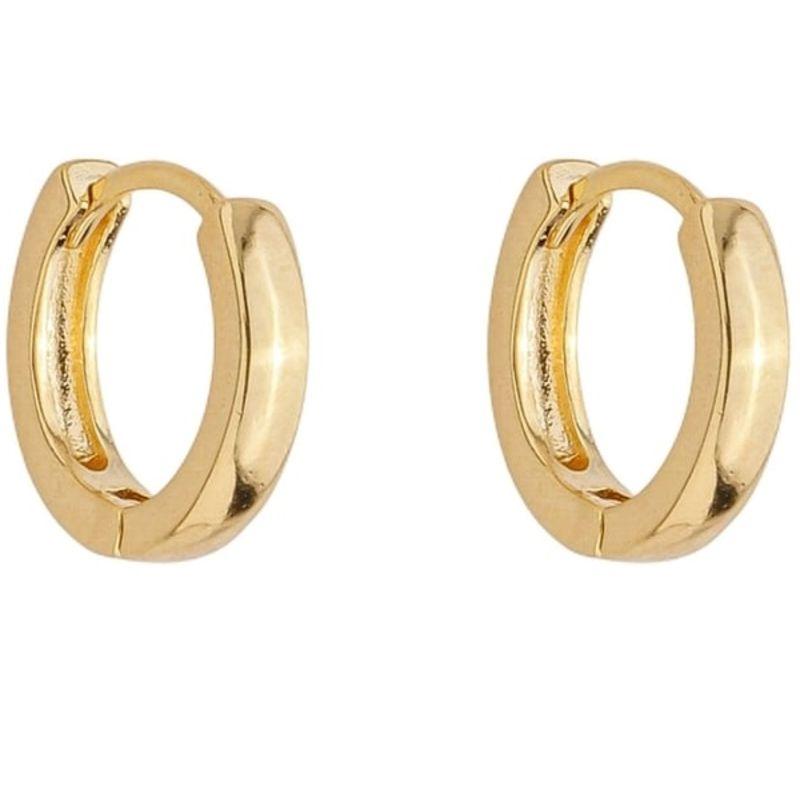 Brinco Argola Lisa Dia a Dia G Ouro