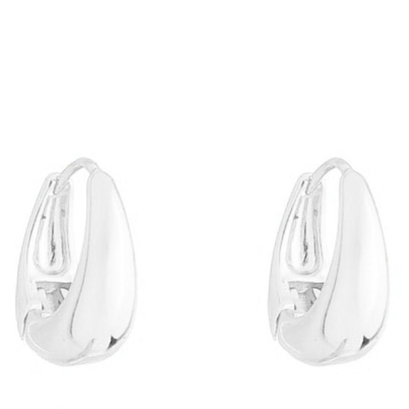 Brinco Argola Oval P Prata